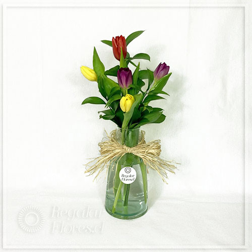 Florero con 5 tulipanes mixtos