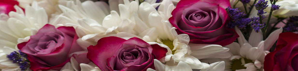 Floreria, floristeria, regalos a domicilio, flores online