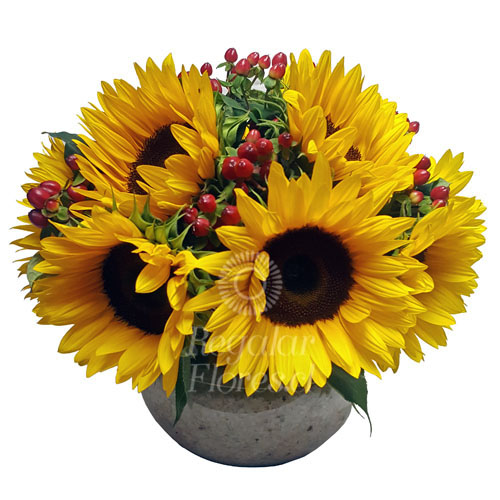 Pecera con girasoles | Regalar Flores, Envio de flores, desayunos y regalos  a domicilio