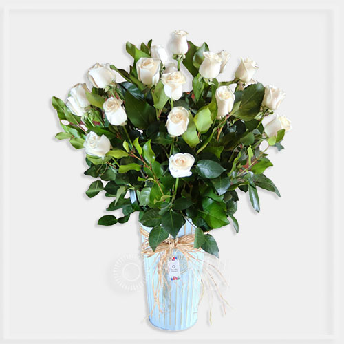 BALDE 24 ROSAS | Regalar Flores, Envio de flores, desayunos y regalos a domicilio