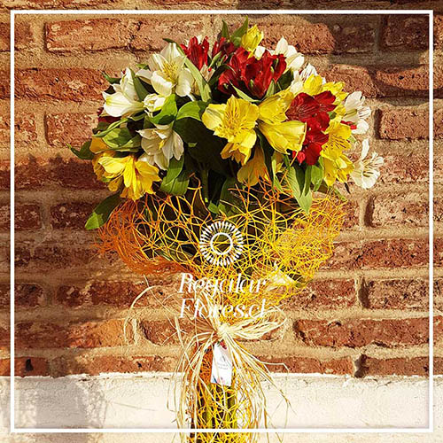 Ramo 30 Alstroemerias | Regalar Flores, Envio de flores, desayunos y regalos a domicilio