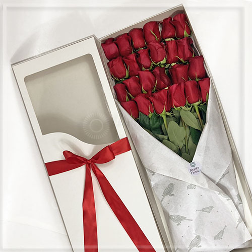 caja 24 rosas rojas
