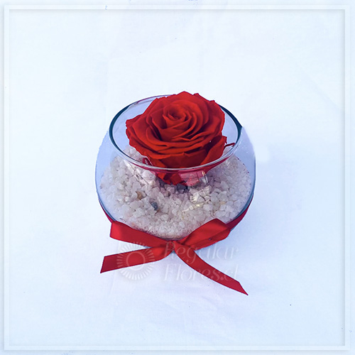 ROSA PRESERVADA ROJA | Regalar Flores, Envio de flores, desayunos y regalos a domicilio