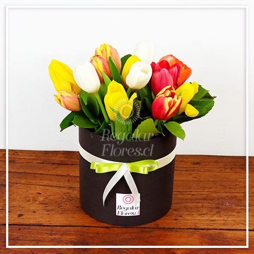 Caja cilindro negra 12 tulipanes