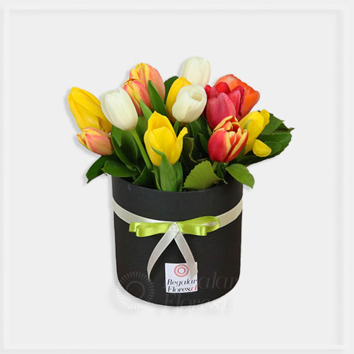 Caja cilindro negra 12 tulipanes