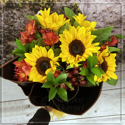 Ramo girasoles y alstroemerias | Regalar Flores, Envio de flores, desayunos y regalos a domicilio