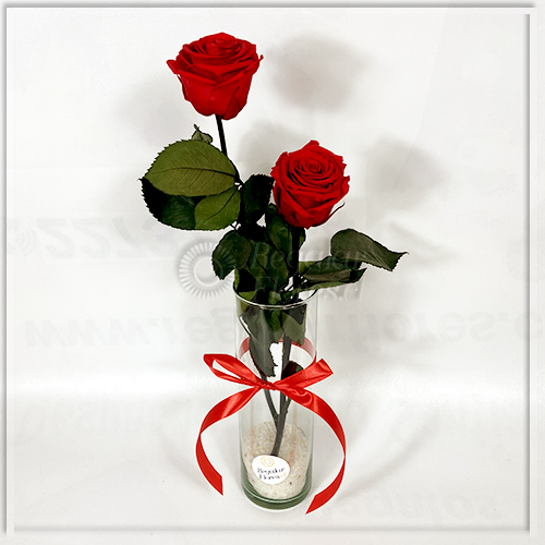 Florero 2 rosas preservadas