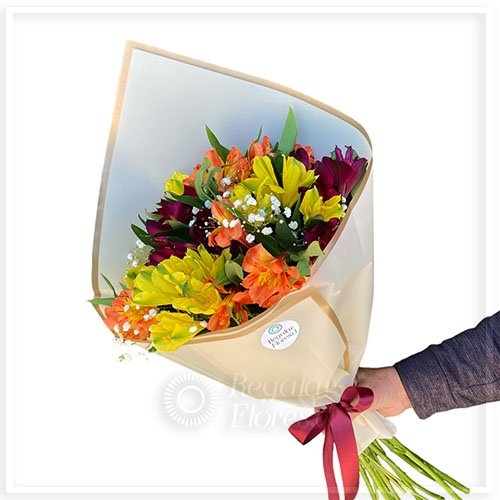 Ramo 10 alstroemerias mixtas | Regalar Flores, Envio de flores, desayunos y regalos a domicilio