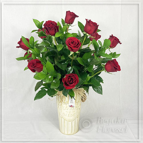 Balde de 13 rosas | Regalar Flores, Envio de flores, desayunos y regalos a domicilio