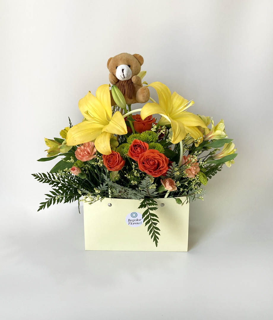 Bolsito nacimiento niño_1